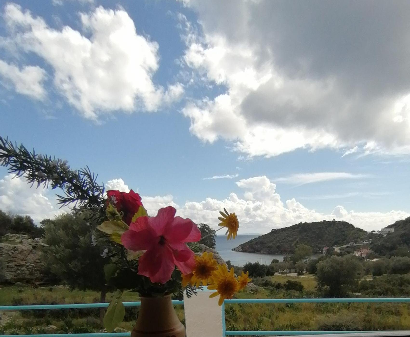 Ioanna Limnionas Samos Appartement *