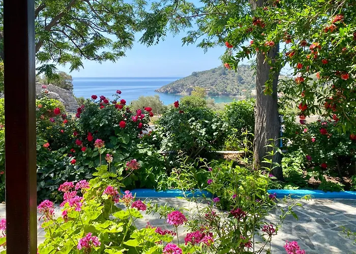 Studios Ioanna Limnionas Samos
