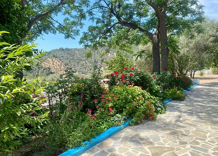 Studios Ioanna Limnionas Samos