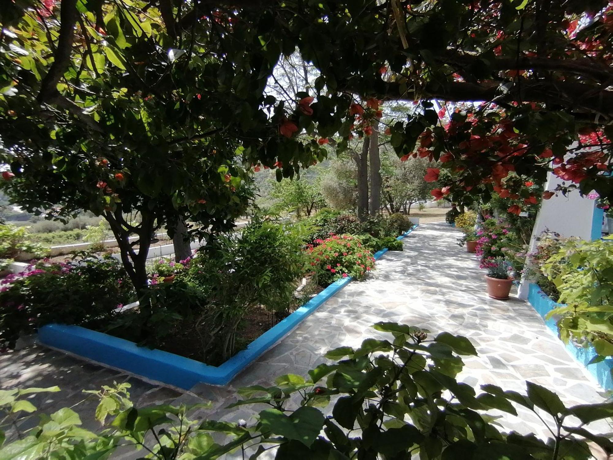 Ioanna Limnionas Samos Apartment