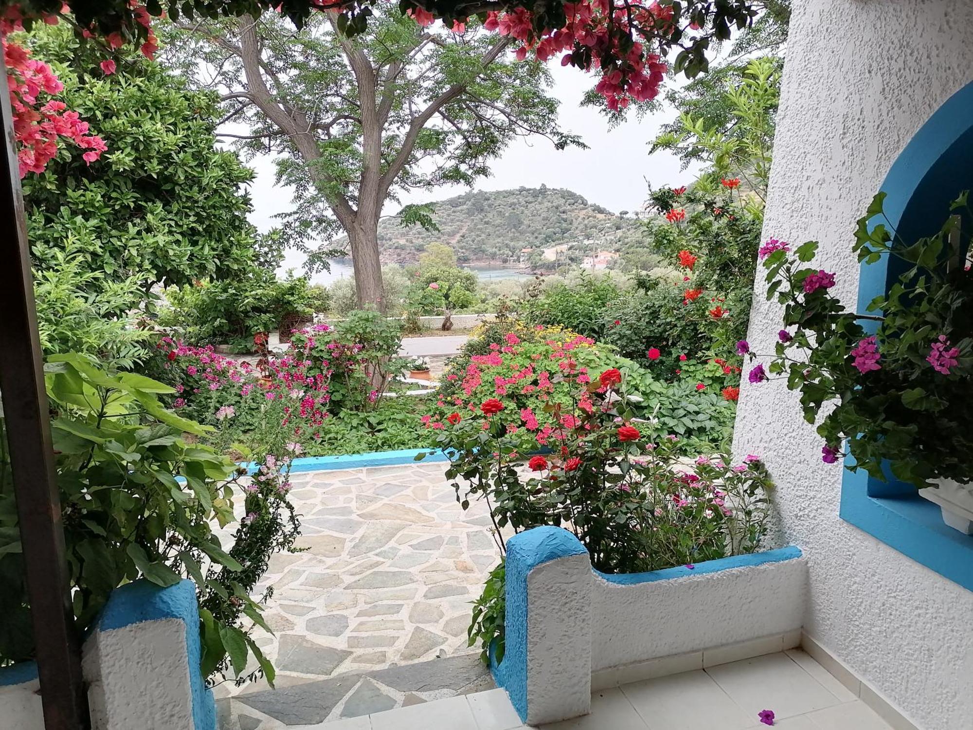 Apartment Ioanna Limnionas Samos